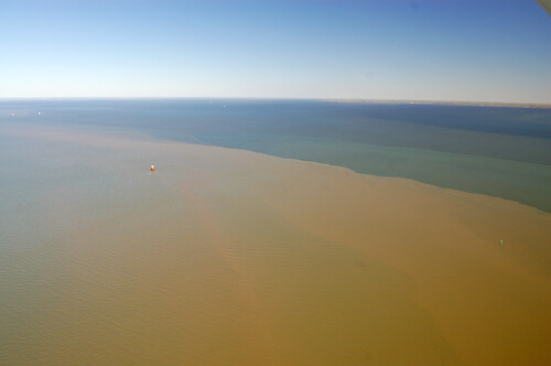 Three layers of sediment plumes in the Chesapeake Bay north of the Bay Bridge.