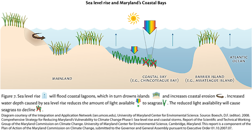 Conceptual diagram illustrating how sea-level rise floods coastal lagoons, drowns islands, and increase coastal erosion.