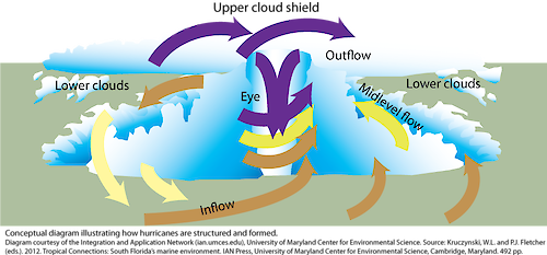 Conceptual diagram illustrating how hurricanes are structured and formed.