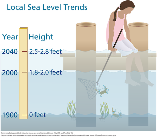 Conceptual diagram illustrating the mean sea level trends at Ocean City, MD and Norfolk, VA. Source: tidesandcurrents.noaa.gov