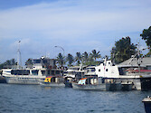 Double-hulled fishing boats in the harbour near the fish market, in Apia, Samoa.