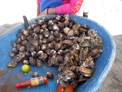 This beach at Los Ayala is very popular with Mexican tourists who come to enjoy Semana Santa week (Easter) at this Mexican resort town. Many vendors turn out and sell local produce and seafood such as these raw cockles and oysters. Topped with hot sauce and lime juice, they are a tourist favorite.
