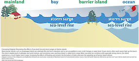 Conceptual diagram illustrating the effects of sea-level rise and storm surges on barrier islands. When sea-level rise combines with strong storms, barrier islands experience high storm surges, which increases the effects of flooding and erosion.