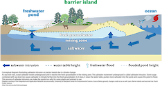 Conceptual diagram illustrating saltwater intrusion on barrier islands due to climate change. As sea-level rises, ocean saltwater travels underground until it reaches the fresh groundwater in the mixing zone.