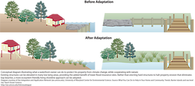 Conceptual diagram illustrating what a waterfront owner can do to protect their property from climate change. Existing structures can be elevated in low-lying areas, and eco-friendly living shorelines can be implemented, to lessen climate change effects like flooding.