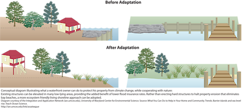 Conceptual diagram illustrating what a waterfront owner can do to protect their property from climate change. Existing structures can be elevated in low-lying areas, and eco-friendly living shorelines can be implemented, to lessen climate change effects like flooding.