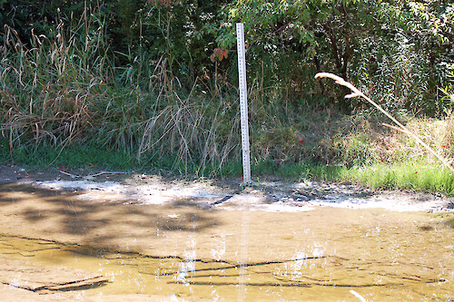Many parts of Pipe Creek are so shallow that the stream gage is no longer under water. The stream gage will need to be moved further toward the center of the creek to be effective. Sandusky, Ohio.