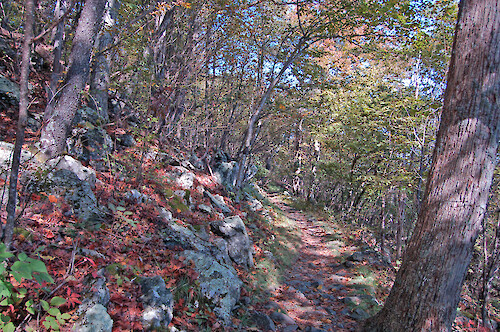 Narrow trails up the mountains in Shenandoah National Park. Shenandoah National Park, VA.