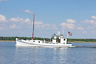 These traditional boats tended to the oyster fleets working the beds in the Bay, buying harvested oysters from the oystermen in the afternoon, and running those oysters to faraway markets and rail centers in Norfolk, Crisfield, Baltimore, and Washington DC, and to local shucking houses and canneries around the Bay.