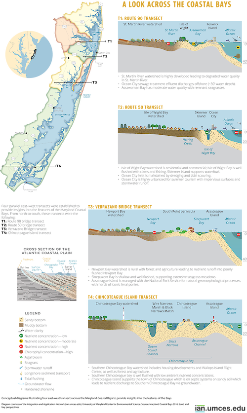 Conceptual diagrams illustrating four east-west transects across the Maryland Coastal Bays to provide insights into the features of the Bays.