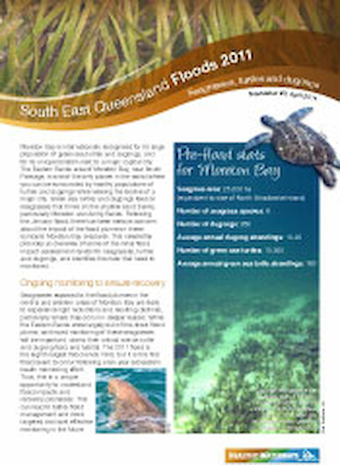 South East Queensland Floods 2011 newsletter #3