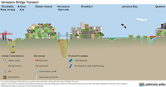 Conceptual diagram illustrating ecosystem characteristics along the Verrazano Bridge Transect. Source: New York Harbor: Resilience in the face of four centuries of development. http://dx.doi.org/10.1016/j.rsma.2016.06.004