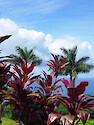 This vista can be found in the Garden of Eden, in Maui 