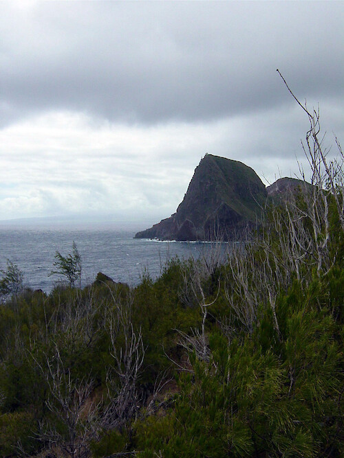 Maui's coast includes areas of scrub forest and cliffs