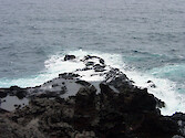 Tide pools form in some of the lava rocks that make up a portion of Maui's coast. 