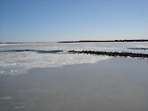 A jetty at Horn Point Laboratory juts into the frozen Choptank River.