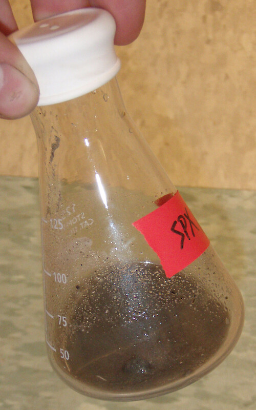A sediment slurry was mixed and the flask capped to trap gases formed as intermediary steps of denitrification.