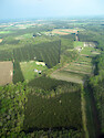 Tree farms, fields and forest in Wicomico County