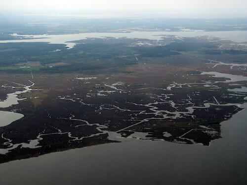Wetlands, southeast of Princess Anne.