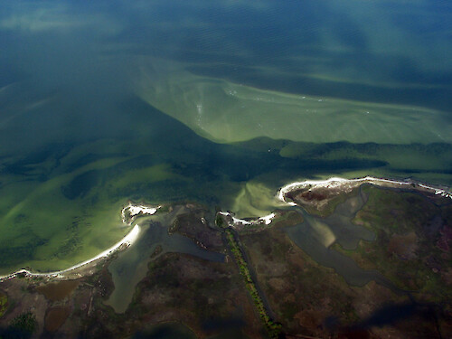 Seagrass beds can be seen in green swirls of the sandy Virginian coast.
