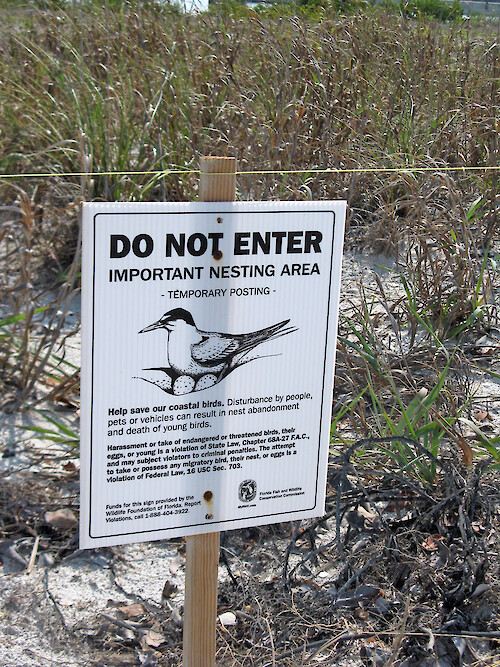 Sign warning against pets, people and vehicles in the area of coastal bird nesting. 