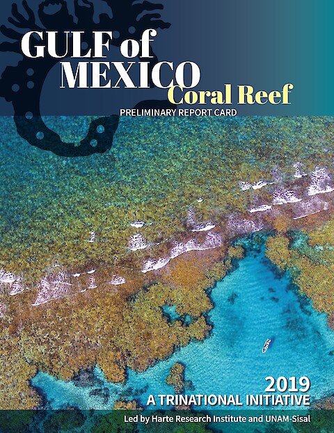 2019 Gulf of Mexico Coral Reef Preliminary Report Card (Page 1)