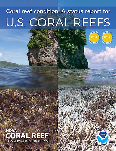 Coral reef condition : A status report for U.S. Coral Reefs (Page 1)