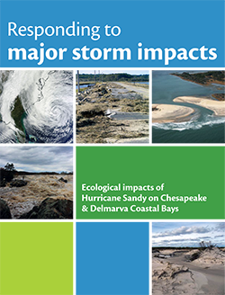 Responding to major storm impacts: ecological impacts of Hurricane Sandy on Chesapeake and Delmarva Coastal Bays