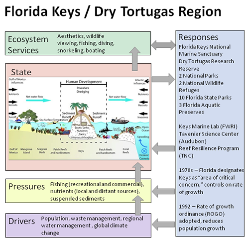 Florida Keys marine ecosystem