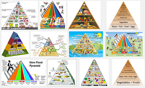 Food pyramid examples