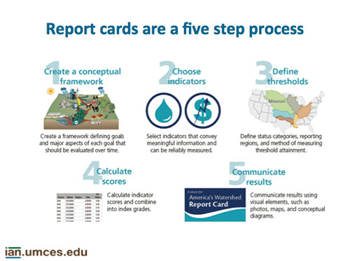 Report-card-five-step-process