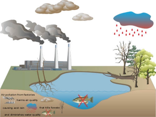 Figure 3. Using IAN’s conceptual diagram tool, a first time user was able to draft this simple explanation in approximately half an hour of forest destruction by acidic deposition. Diagrams such as this provide powerful means of explanation without requiring a heavy workload. Aimee Hoover, Integration and Application Network, University of Maryland Center for Environmental Science (ian.umces.edu/media-library/).
