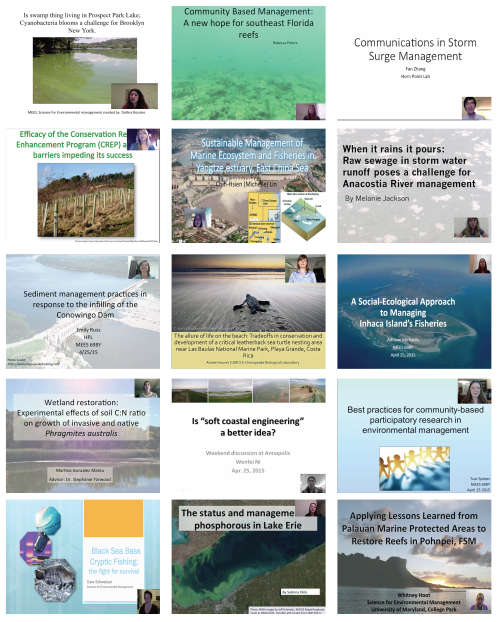 Screen grab of each students' presentation