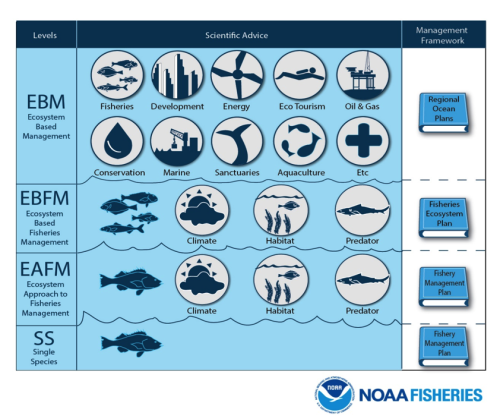Figure 1: As depicted by NOAA, there are many scales at which a management plan can attempt to regulate a fishery and many factors to consider. Management is made even more challenging due to the unpredictable and dynamic nature of fisheries as complex systems. Image c/o NOAA (http://www.st.nmfs.noaa.gov/ecosystems/ebfm/ebfm-levels).