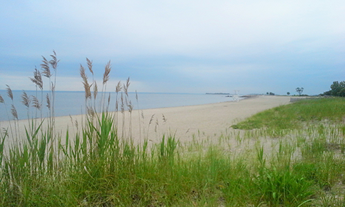 Sherwood Island State Park beach