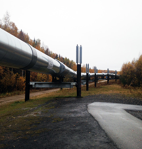The Trans-Alaska Pipeline as viewed at the Trans Alaska Pipeline Visitors Center outside of Fox, Alaska. The posts that support the pipeline are topped with aluminum radiators to conduct heat away from the soil. Photo: Brianne Walsh, UMCES.