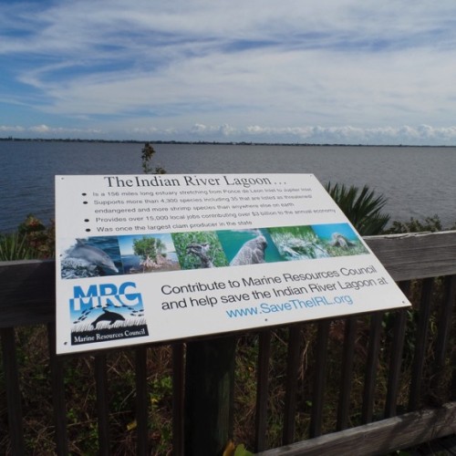 The boardwalk in front of the Lagoon House has a fantastic view of the Indian River Lagoon. Photo by Caroline Donovan.