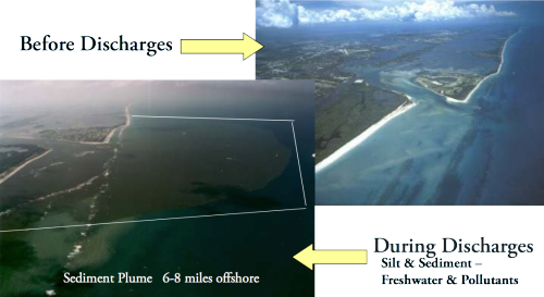 St. Lucie Inlet Near Shore Reef: Before and After Discharges
