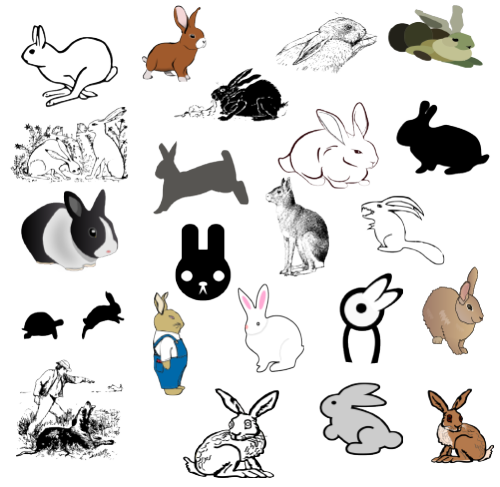 Rabbit Images to study for symbol elements: Color, Line, Orientation, Detail, Simplicity, Accuracy