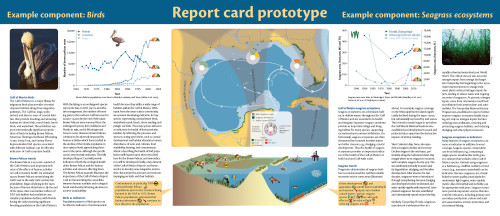 The framework for the original Gulf of Mexico Report Card Vision