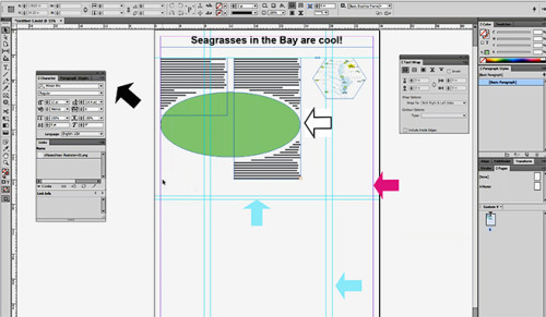 "InDesign tutorial example of custom columns and text wrap with white offset for poster illustration" via Caroline Donovan (IAN)