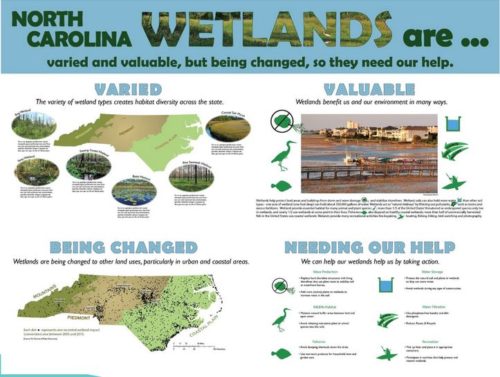 This draft of Kristie Gianopulos and Amanda Mueller's North Carolina wetlands poster presents a crystal-clear ABT statement, and is balanced and consistent in its design.