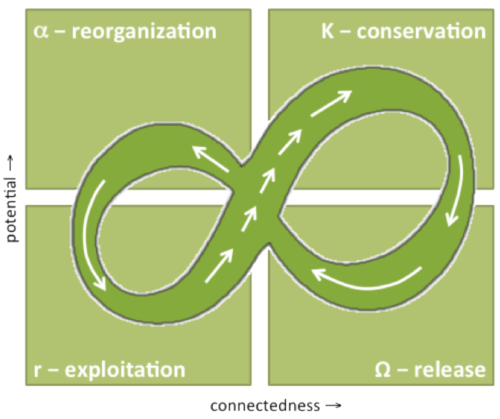 Systems progress through an adaptive cycle comprised of four connected stages: Growth and exploitation, Conservation, Chaotic collapse and release, and Reorganization6. (Source: https://oneplanet-sustainability.org/2012/11/13/is-resilience-the-new-holy-grail-of-humanity/)