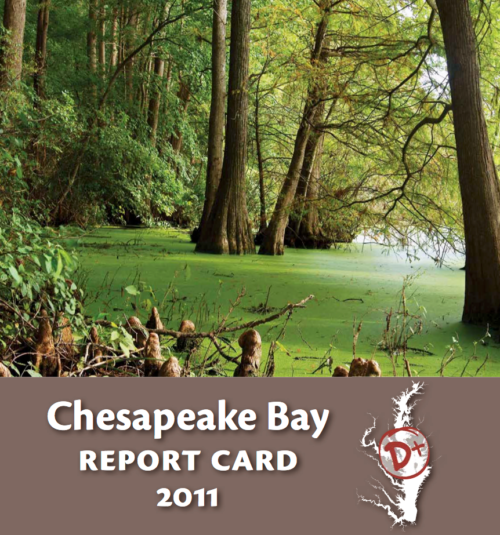 The cover of the 2011 Chesapeake Bay Report Card, representing cypress swamp that many don't know exists in the Chesapeake region, was selected from a photo contest.