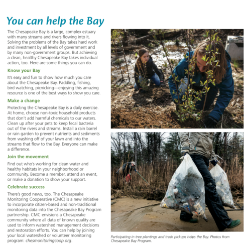 Chesapeake Bay Report Card What you can do section. This section of the Chesapeake Bay Report Card tells willing homeowners what they can do in their own homes and yards to help reduce pollution.