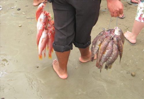 Red fish in Ecuador. This highlights the example of the girl who fell in love with marine life and found her passion in what she considers “nature”. But the second example of the college student only proves what is nature to one is not considered nature to all. What is nature to you?