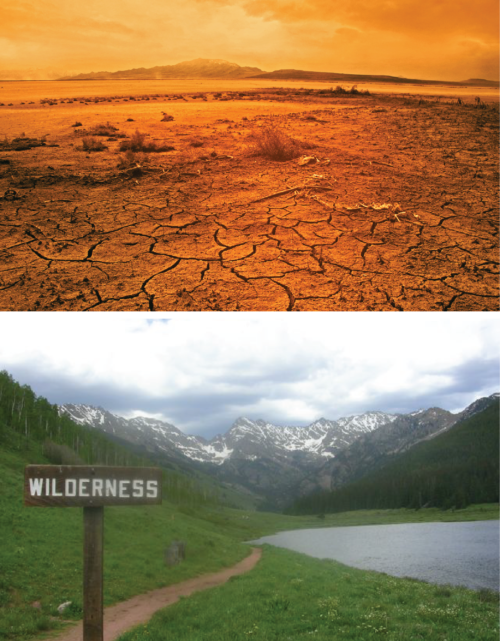 Wilderness then vs. Wilderness now