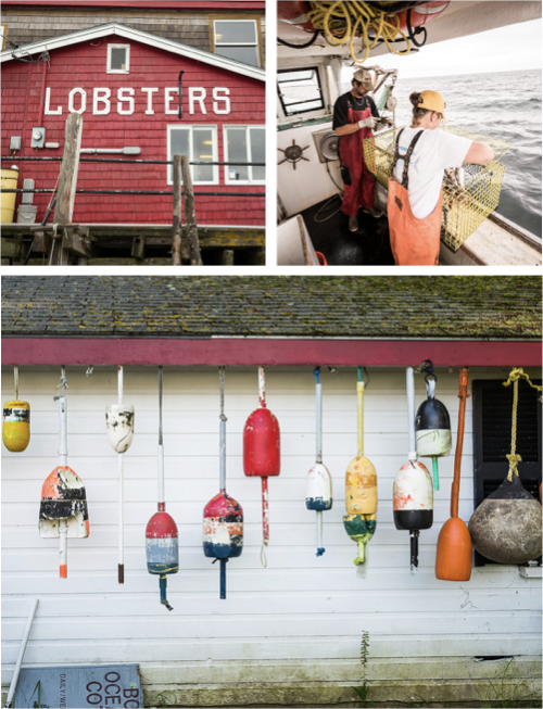 Lobster fishery is rich in history and culture. “The buoy in Maine lobster culture is the nautical equivalent of a Medieval knight's coat of arms: Each lobsterman paints his own design in his own color scheme on his buoys, effectively marking his trap territory. […] the lobsterman's buoy is an example of functional art born out of necessity but made iconic through its innate aesthetic worth.” (Source: https://visitmaine.com/quarterly/lobster/lobstering-life)