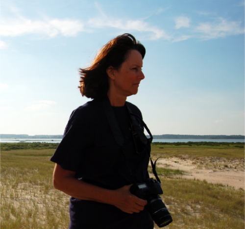 Jane Hawkey photographing on a beach. Photo credit Simon Costanzo