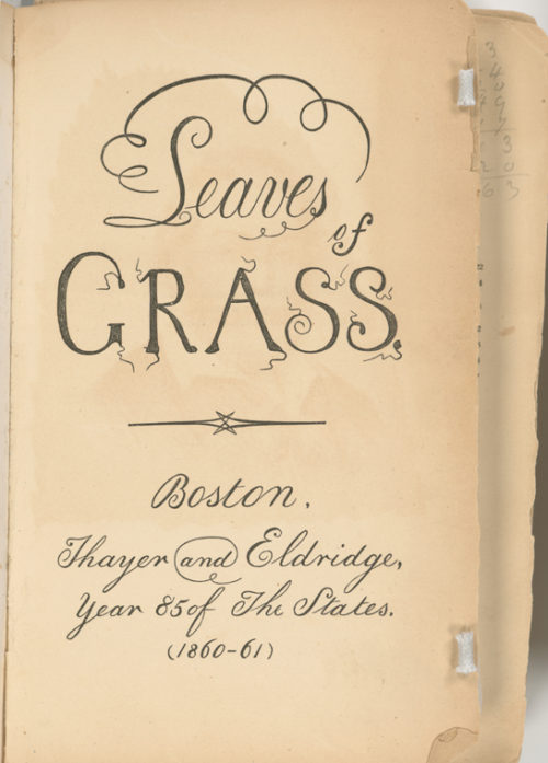 A 1860 rendition of Leaves of Grass.